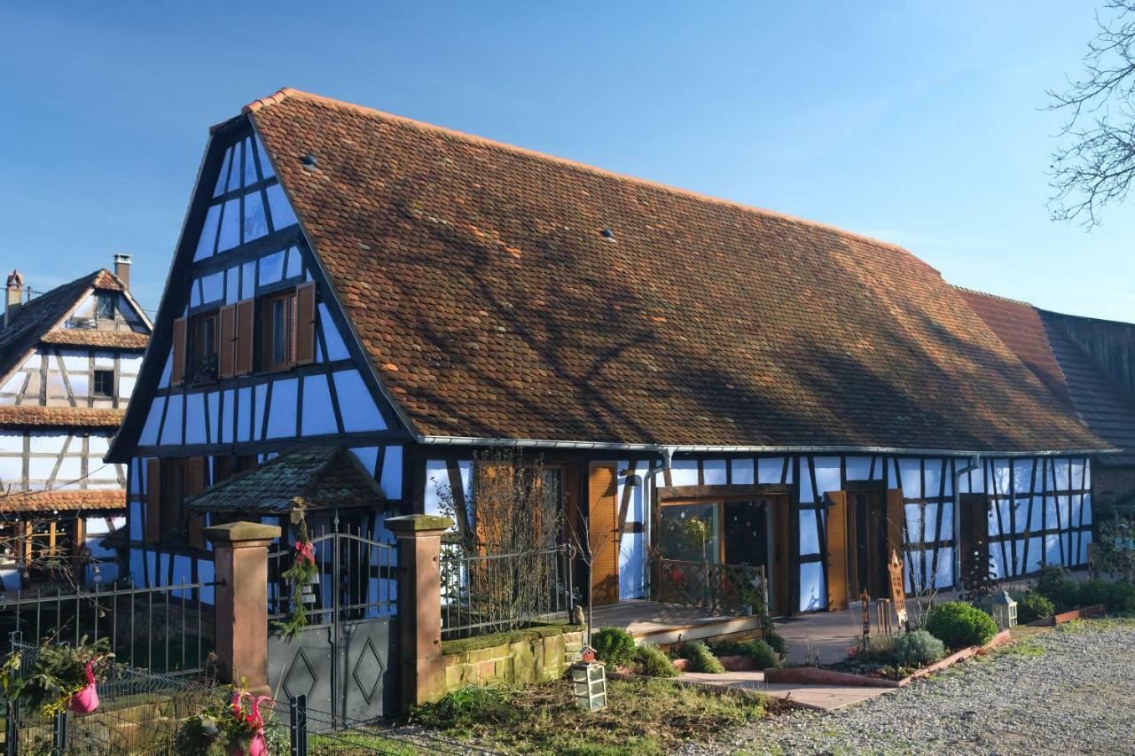 Le Clos Bleu - Gite Rural Schillersdorf Exterior photo