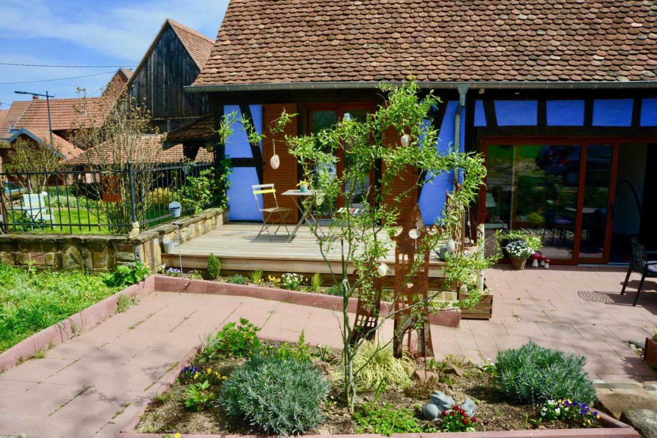 Le Clos Bleu - Gite Rural Schillersdorf Exterior photo