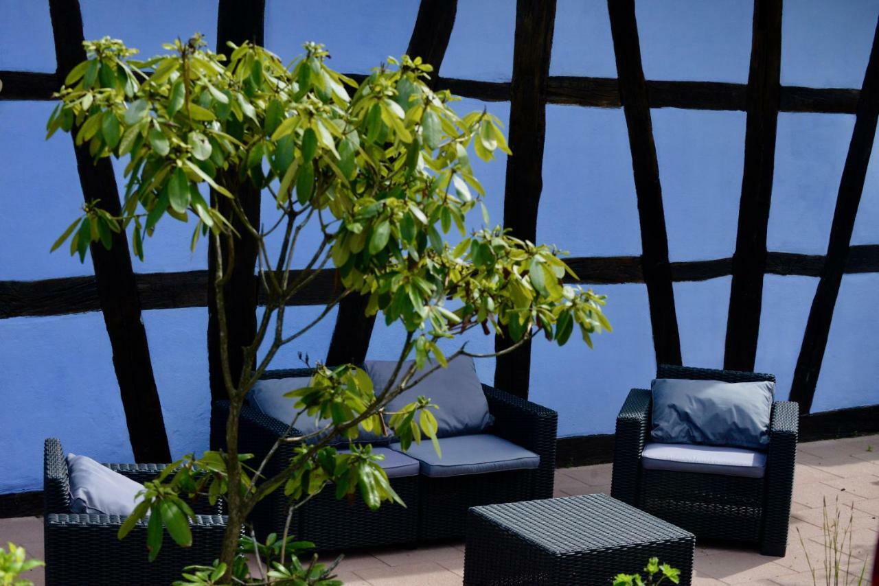 Le Clos Bleu - Gite Rural Schillersdorf Exterior photo