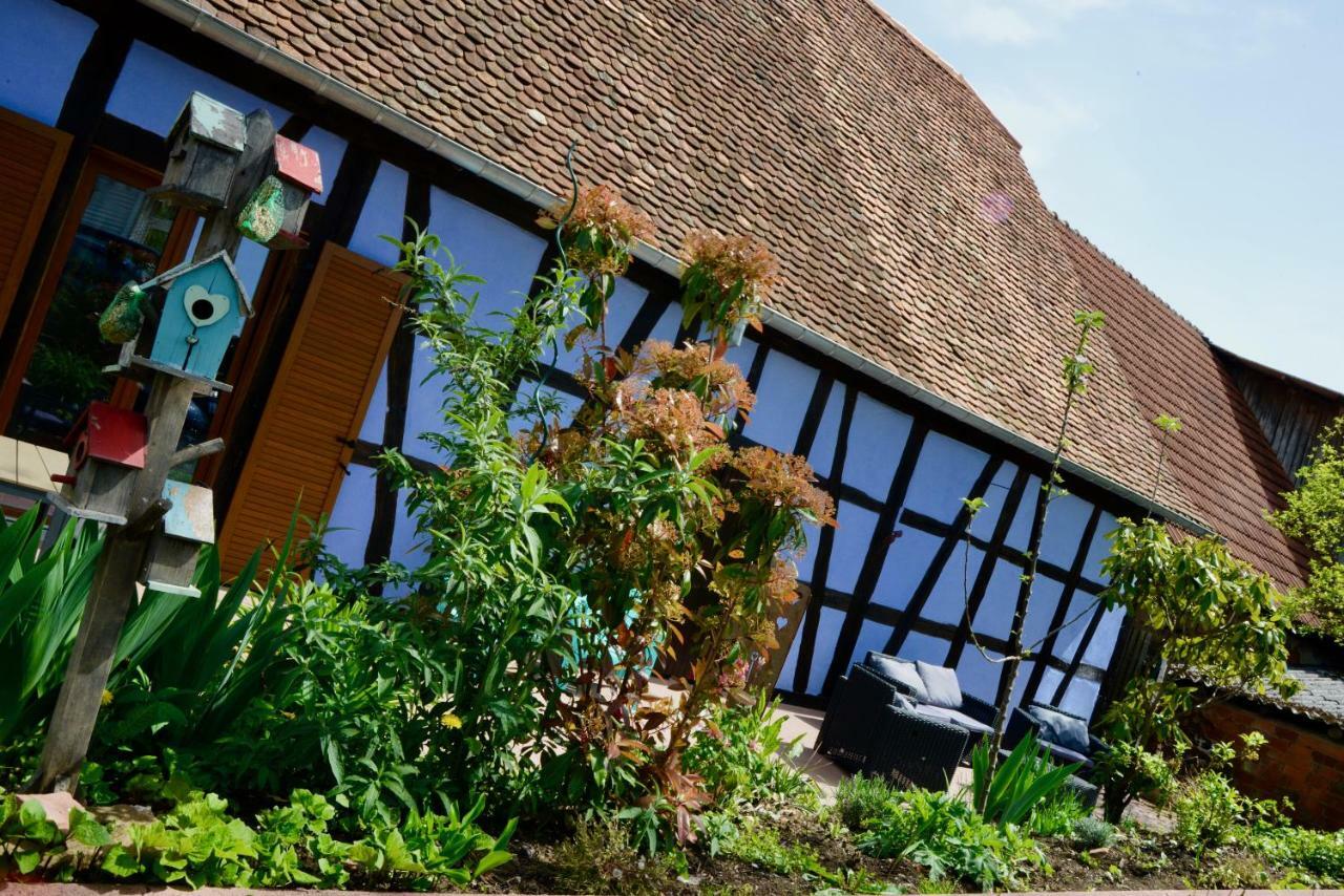 Le Clos Bleu - Gite Rural Schillersdorf Exterior photo
